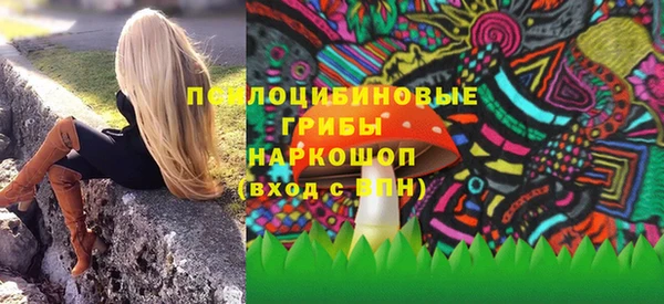 соль ск Алексин