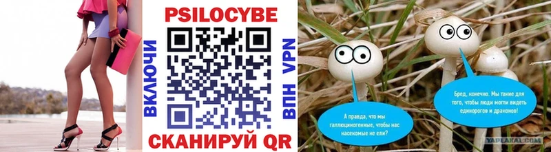 Псилоцибиновые грибы Psilocybine cubensis  наркошоп  Крым 